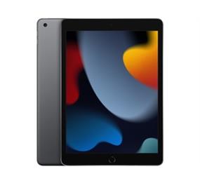Apple iPad 9th Gen 64GB WiFi - Space Grey